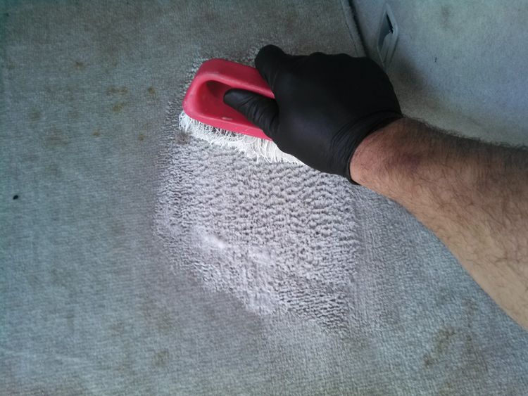 How to clean car carpet without a machine information